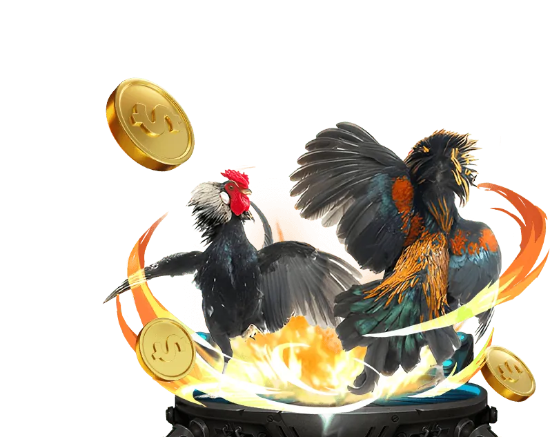 Tổng quan tài nguyên casino